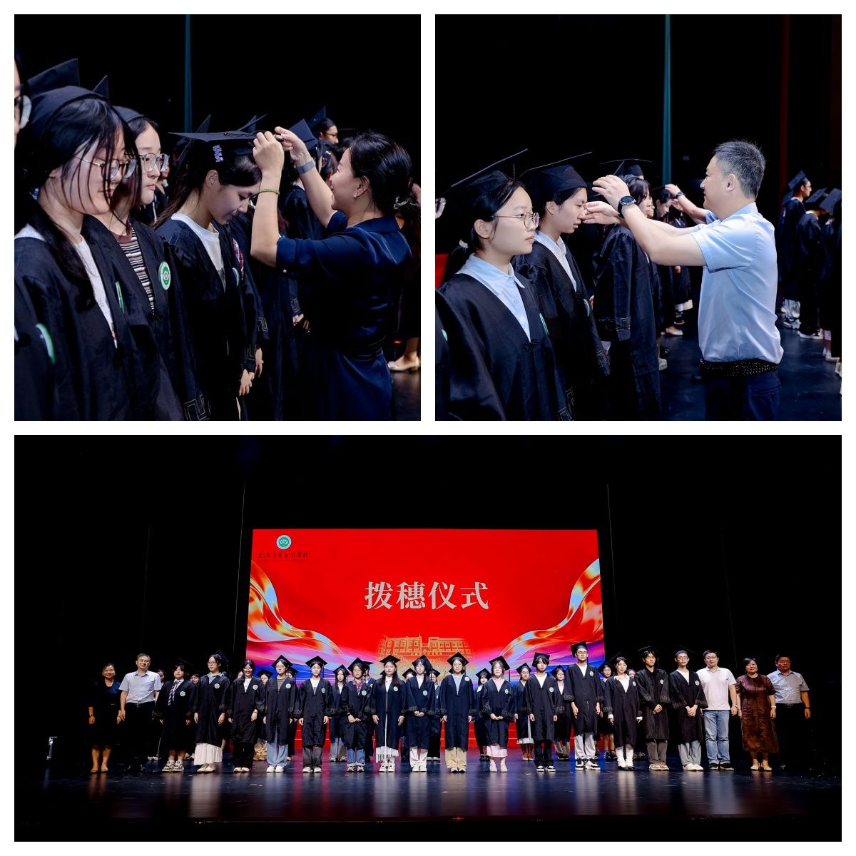 回首·三载耕耘结硕果