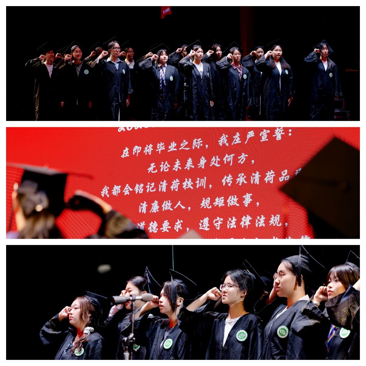 师长寄语话深情
